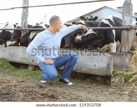 man feeding cows on a farm outdoors