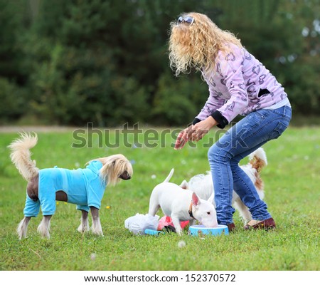 girl trainer feeds the dogs