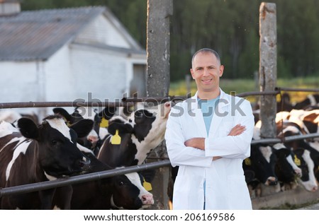 veterinarian man in a white coat on  farm cow