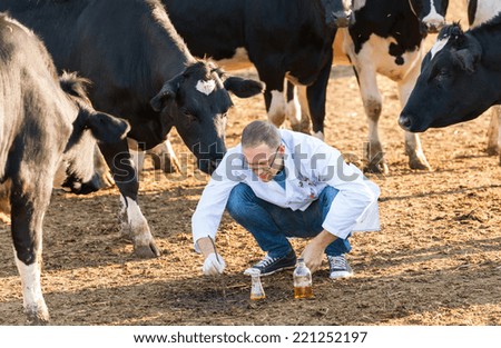 Veterinary Doctor  studying liquid sample contained in a test-tube