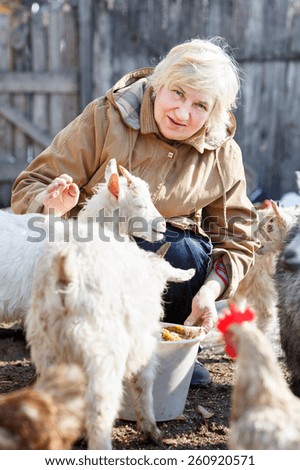 Adult woman  is feeding little goats and chickens on  home farm