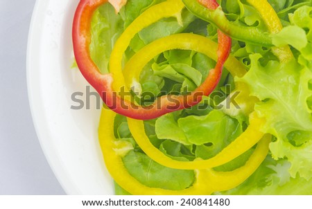 closed up of green oak lettuce with multi color bell peppers
