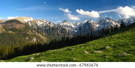 Panorama of snowy peaks from the meadow with green grass. Spring in High Tatra Mountains.