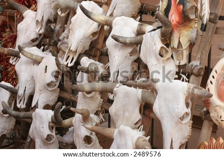 Bleached skulls hanging on a wall at an outdoor market in Santa Fe, NM