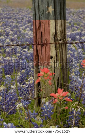Field of Bluebonnets surrounding an old barbed wire fence with a Texas flag superimposed on an old fence post.