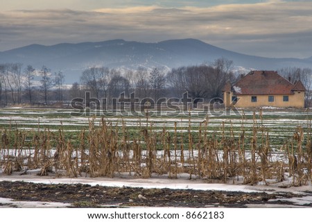 Deserted house in the countryside in winter, Hunedoara county, Romania.