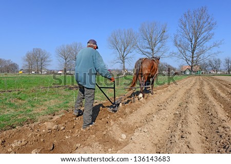 Fallowing of a spring field by a manual plow on horse-drawn.