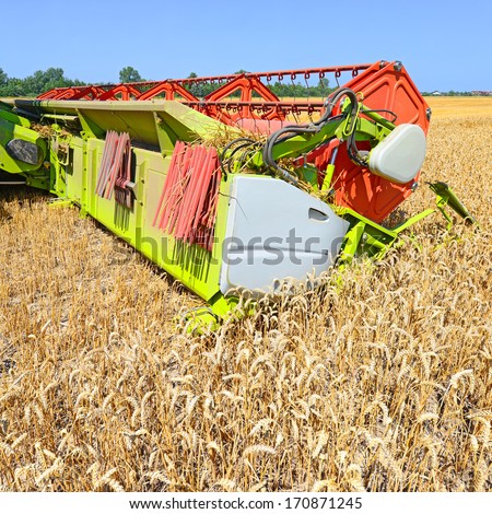 Maize grain harvester