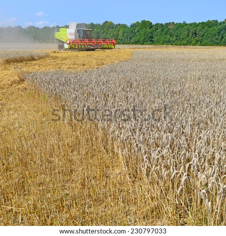 Kalush, Ukraine - AUGUST 11: Modern John Deere combine harvesting grain in the field near the town Kalush, Western Ukraine August 11, 2014