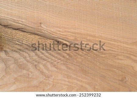 Detail of the board of ash after pretreatment