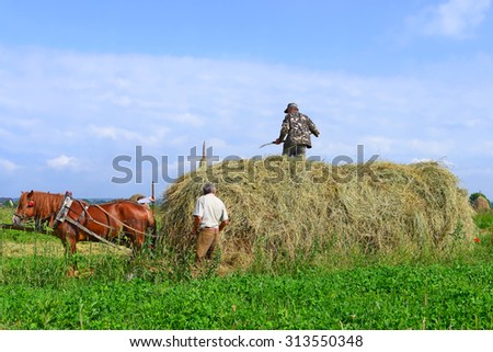 Kalush, Ukraine - July 30: Transportation of hay by a cart in the field near the town Kalush, Western Ukraine July 30, 2015
