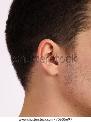 Young Man'S Ear Stock Photo 70605697 : Shutterstock