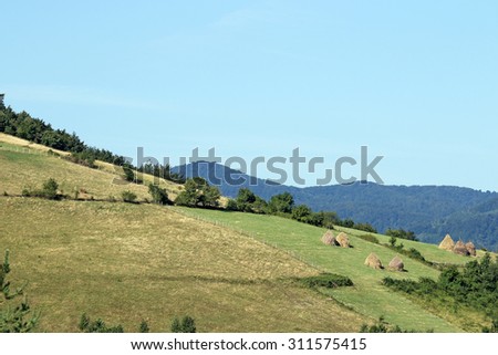 mountain rural landscape west Serbia