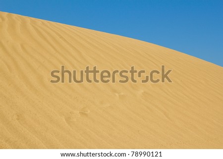 gold sand dune