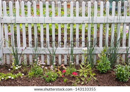 Garden view with a picket fence, flowers and vegetables.