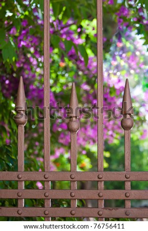 wrought-iron fence close-up on a background with blooming flowers and plants