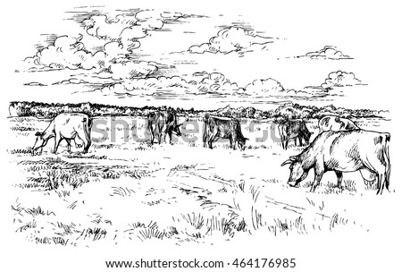 Rural landscape with cows - hand drawn vector illustration, isolated on white