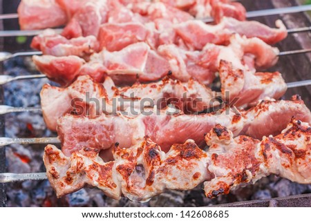 Juicy slices of meat with sauce prepare on fire (shish kebab). / Shish kebab in process of cooking on open fire outdoors