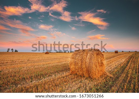 Similar – Image, Stock Photo Late summer rolls Field