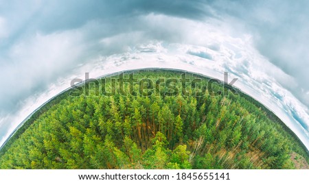 Aerial View Green Coniferous Forest Pines Woods Landscape In Spring Day. Top View Of Beautiful European Nature From High Attitude. Drone View. Bird's Eye View. Little Small Planet Concept.