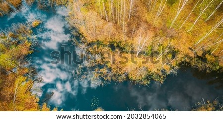 Similar – Image, Stock Photo Birch tree with reflection in bog lake, on a meadow is a bench