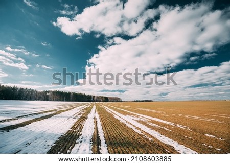 Similar – Image, Stock Photo Field with winter sowing