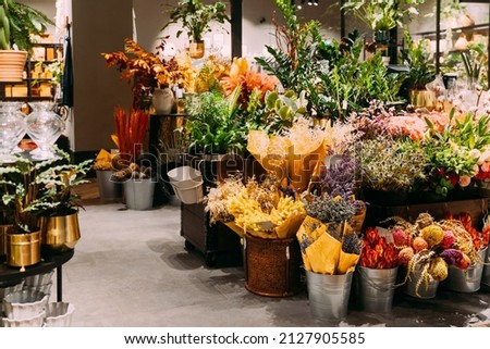Similar – Image, Stock Photo Assorted plants and flowers in pots on table