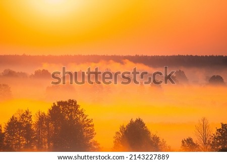 Similar – Image, Stock Photo Amazing Sunrise Light Above Misty Landscape. Scenic View Of Foggy Morning In Misty Forest Park Woods. Summer Nature Of Eastern Europe. Sunset Dramatic Sunray Light Sunbeam