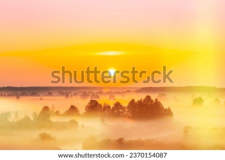 Similar – Image, Stock Photo Amazing Sunrise Light Above Misty Landscape. Scenic View Of Foggy Morning In Misty Forest Park Woods. Summer Nature Of Eastern Europe. Sunset Dramatic Sunray Light Sunbeam