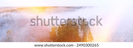 Similar – Image, Stock Photo Aerial View. Spring Dry Grass Burns During Drought Hot Weather. Bush Fire And Smoke In Forest. Wild Open Fire Destroys Grass. Nature In Danger. Ecological Problem Air Pollution. Natural Disaster.