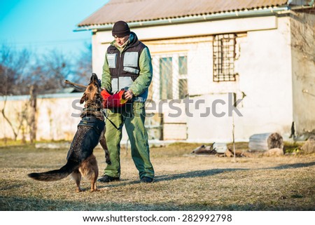 GOMEL, BELARUS - NOVEMBER, 22, 2014: German shepherd dog training in Gomel Regional sports club and decorative dog-breeding. Bitting dog.