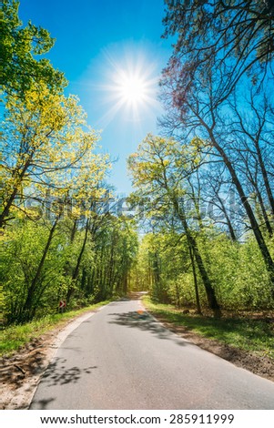 Good Asphalt Forest Road In Sunny Summer Day. Lane Running Through Spring Deciduous Forest