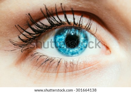 Bright Blue Eye Close Up Female Face