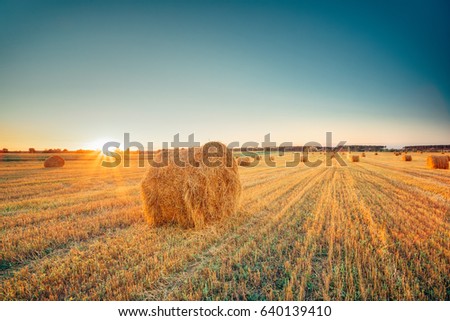 Similar – Image, Stock Photo Late summer rolls Field