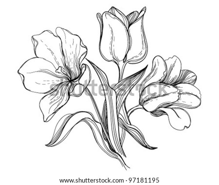 Bush Tulips Stock Vector Illustration 97181195 : Shutterstock