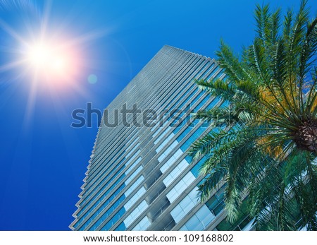 Palm Tree and Office Building under the sun