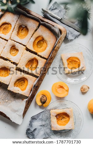 Similar – Image, Stock Photo Apricot pie in tray freshly baked. Top view of pie with a lattice crust