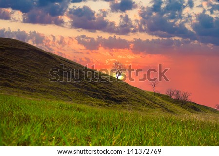 sunset landscape green field grass tree sky nature hill sunrise sun land meadow horizon