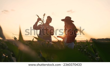 Image, Stock Photo autumn meeting Plant Sky