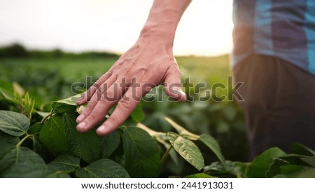 Similar – Foto Bild Erntehelfer mit kleinen Wassermelonen