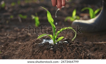 Similar – Image, Stock Photo A farmer on a tractor works in the field. Milling soil, crushing and loosening ground before cutting rows. Farming, agriculture. Preparatory earthworks before planting a new crop. Land cultivation