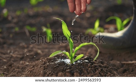 Similar – Image, Stock Photo A farmer on a tractor works in the field. Milling soil, crushing and loosening ground before cutting rows. Farming, agriculture. Preparatory earthworks before planting a new crop. Land cultivation