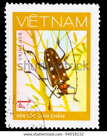 VIETNAM - CIRCA 1981: A stamp printed in VIETNAM, shows animal insect long horn beetle bug, 1 coins, circa 1981