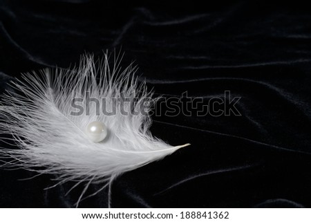 Pearl and feather. Soft white feather on soft dark velvet.