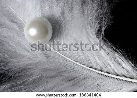 Pearl and feather. White feather and pearl on dark background
