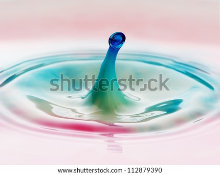 a splash of dye in a bowl of milk