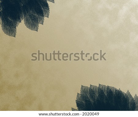 Black leaves on textured paper