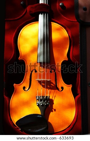 Violin in a dark red velvet case.