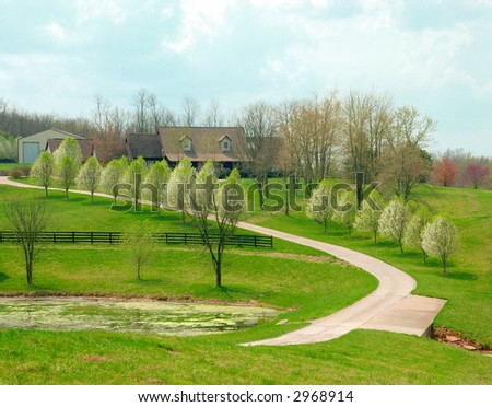 Kentucky Farm On A Sunny Day -  A winding road lined with flowering pear trees leads to a Kentucky farm house on a grassy knoll.