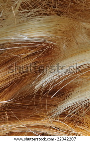 Blond and auburn red hair macro image
